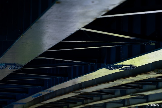 DSC01932_LR